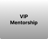VIP Mentorship